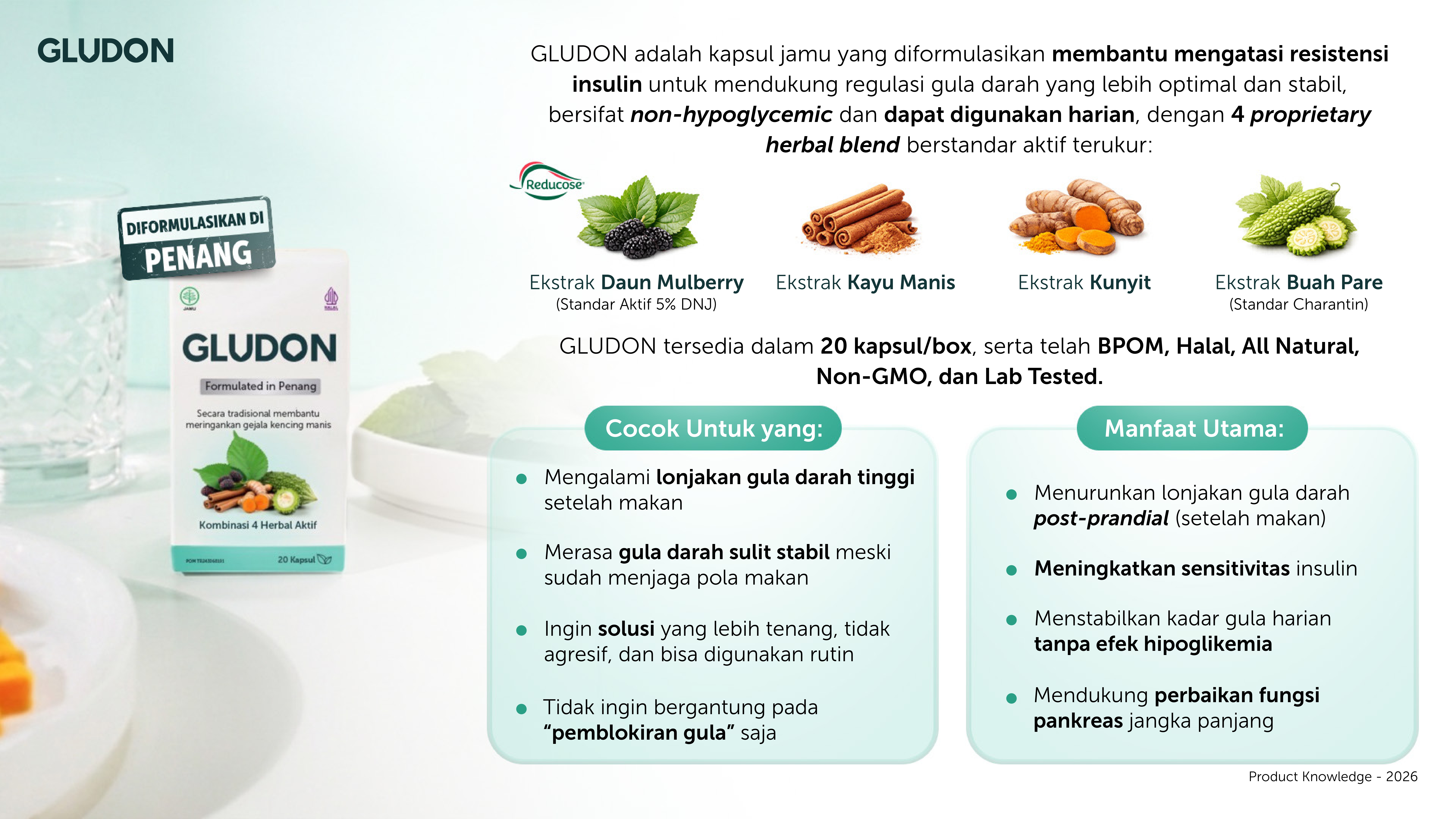 Ringkasan product knowledge Gludon